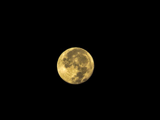 Naklejka premium moon