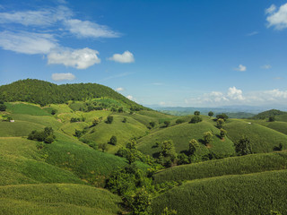 Fototapeta na wymiar Corn industry on the Mountain in Thailand.