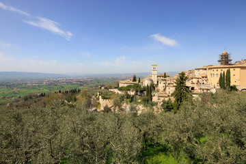Fototapeta na wymiar Panoramic view of Assisi and its sourrounding landscape and olive grove, Italy