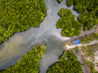 Aerial drone view of a small dock in the middle of a large mangrove forest in Thailand