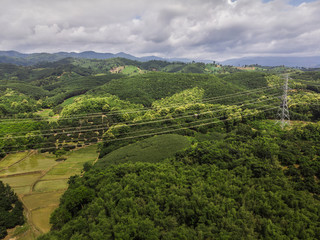 Fototapeta na wymiar rubber trees industry on the Mountain in Thailand,