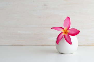 Pink Frangipani in jar with wood background