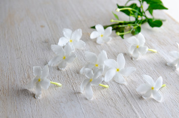 Little flower and leaves on wooden surface