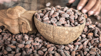 Cocoa Beans and Cocoa Fruits on wooden