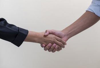 Businessman shaking hands ech other, business deal concept.