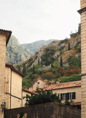 Kotor