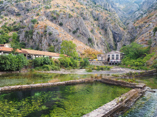 Kotor