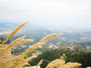 Mountains and colossus