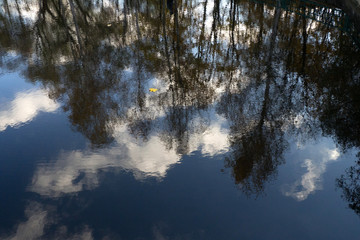 Autumn pond
