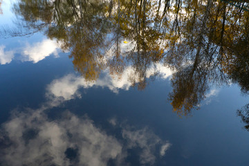 Autumn pond