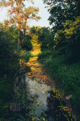 Sunny scenery