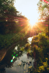 Sunny scenery