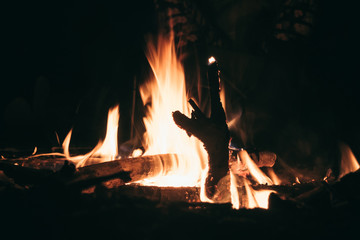 The fire