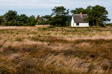 Obraz premium Weißes Haus am Wäldchen