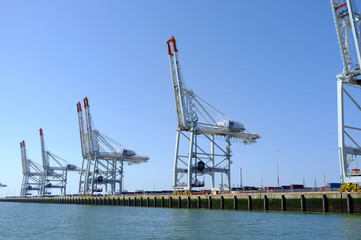 Fototapeta na wymiar Cranes at Hamburg port