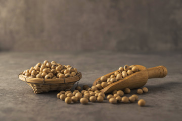 Fototapeta na wymiar healthy soybean on dark background