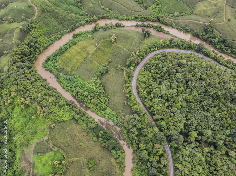 Wall mural path through the green forest and countryside of thailand, top view aerial photo from drone.