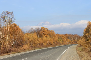 Fototapeta premium autumn