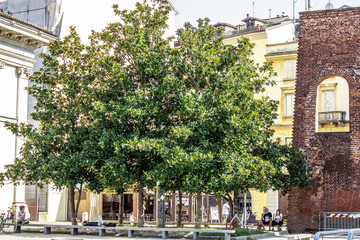 Fototapete bei efototapeten.de bestellen   