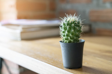 Nature background,workplace of Cactus pot on work desk,coffee shop.workplace concept.