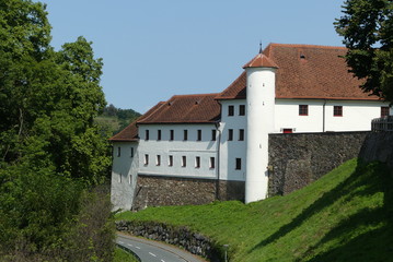 Fototapeta na wymiar Schloss Seggau