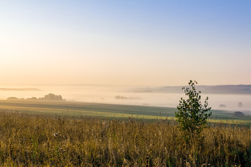 The white mist spreads into the log among the trees and fields in the morning sun