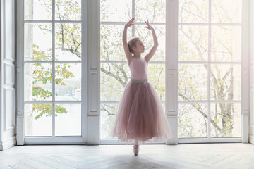 Young classical ballet dancer girl in dance class. Beautiful graceful ballerine practice ballet...