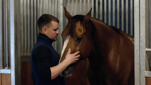 Close up portrait of a man feeding and caressing a horse. Young guy playing with brown horse in a stabled. Care and love for the animals.