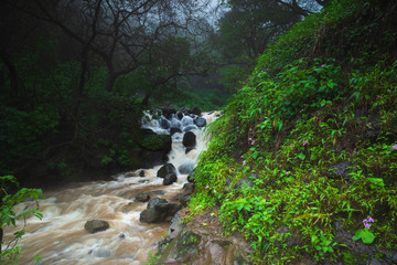 A scenic waterfall in the forest, a rainy foggy/misty waterfall landscape in India.
