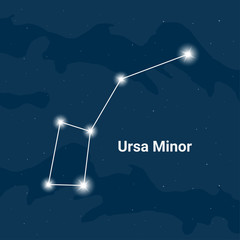 The constellation Ursa Minor (The Little Bear) - Vector