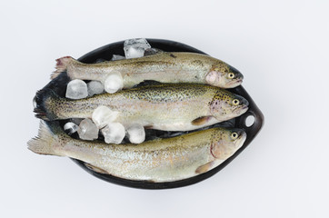 Trouts in black ceramic bowl on white background.