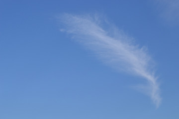 A light white cloud in the blue sky. Background.
One white cloud, like a feather.