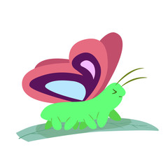 cute butterfly walking on leaf