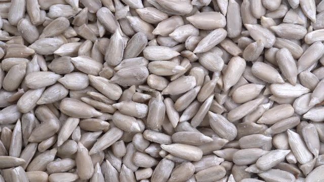 Peeled sunflower seeds close up rotation loopable 4k top view. Food  background. Gastronomy concept, organic food. Macro sunflower seeds