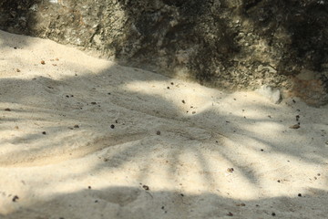 Beach sand