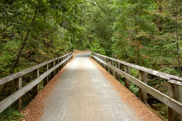 Obraz premium Concrete bridge with wooden railing in a green forest