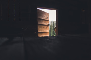 View of a forest through a cabin doorway in Colorado. 