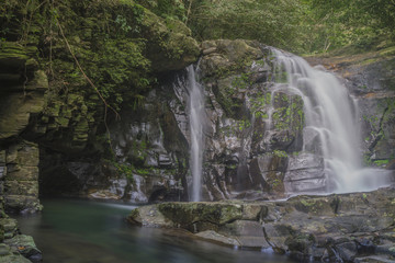 Bach Ma Nationalpark, Vietnam © Gustav
