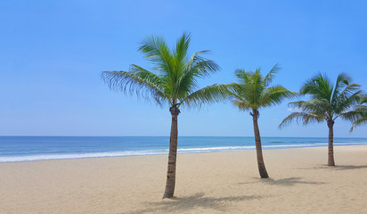 Obraz na płótnie Canvas Beach with palm trees and blue sky