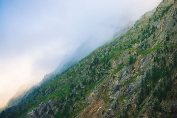 Fototapeta premium Diagonal mountainside with forest in morning fog close up. Giant mountain in haze. Early sun is shining through mist. Overcast weather above rocks. Atmospheric mountain landscape of majestic nature.