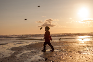 Fototapeta na wymiar Cute child, kid, watching seagulls on the beach