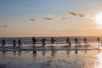 Group of young surfers on the beach, surfing on sunset