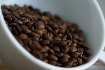 Kaffeebohnen