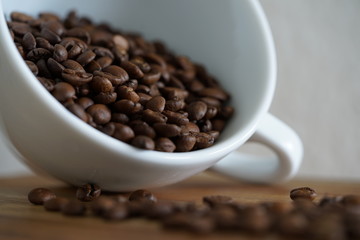 Kaffeebohnen