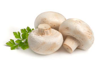 Champignons, close-up, isolated on white background.