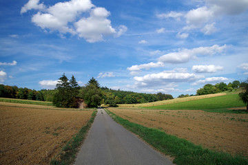 Fototapeta na wymiar Wanderweg im Kraichgau