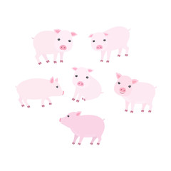 Set of Vector Cartoon Illustration. Cute Pigs in Different Poses for you Design.