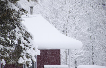 Snow Falling on Trees