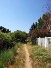 Path with a Fence