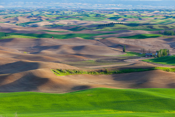 The Palouse